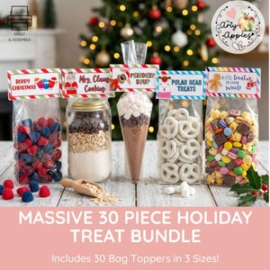 May include: Five clear plastic bags filled with holiday treats, each topped with a colourful cardstock label. Labels feature text including Berry Christmas, Mrs. Claus Cookies, Reindeer Soup, Polar Bear Treats, and A Little Treat For Someone Sweet.