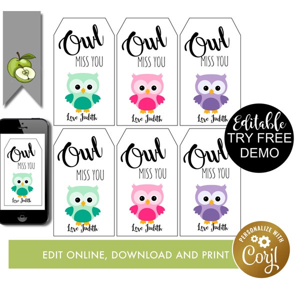 Editable friend owl gift tag, editable owl miss you, leaving tag, last day of school, owl miss you this summer, Teacher tag, Printable