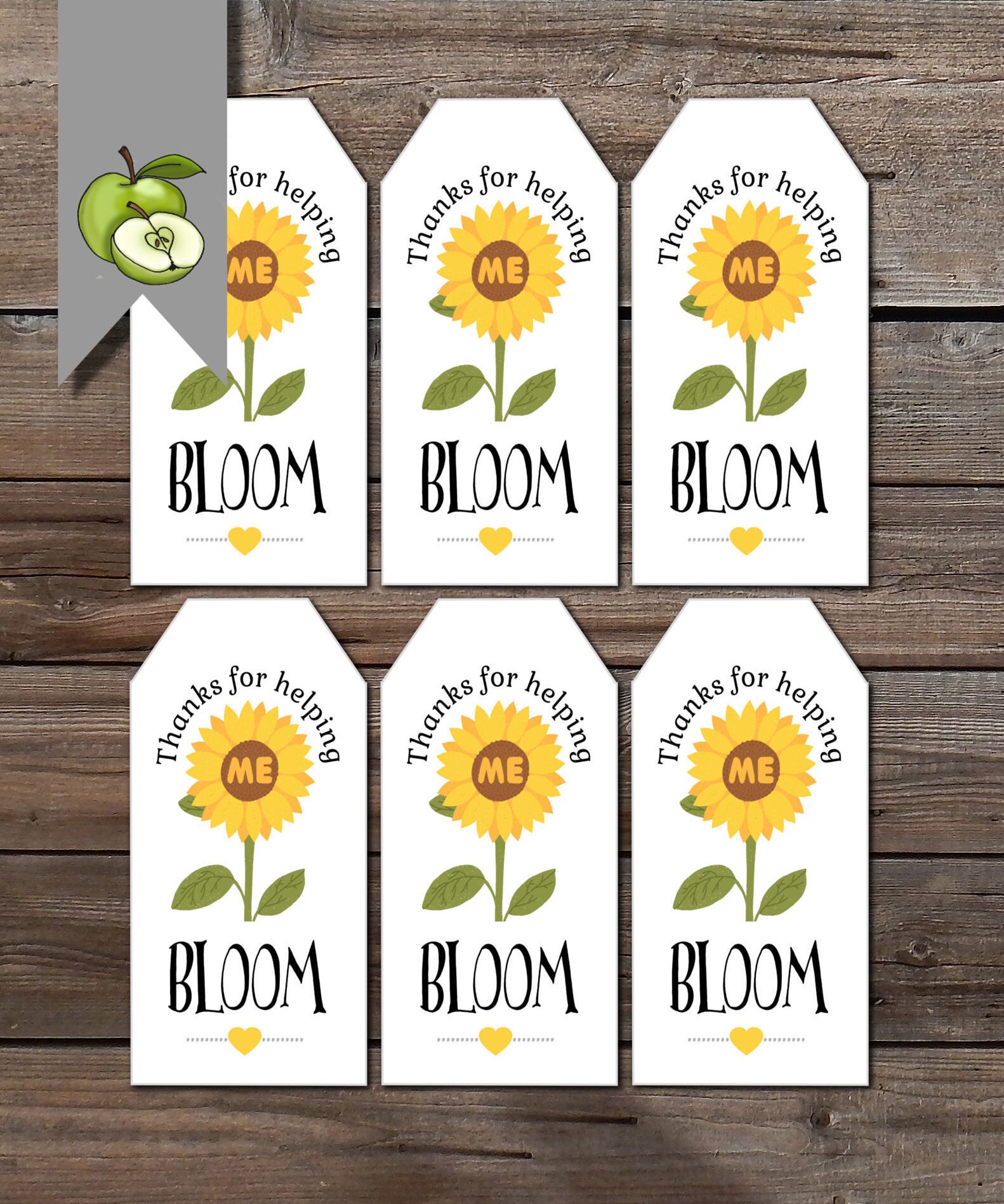 Sunflower plant gift tag Teacher Appreciation SunFlowers Etsy