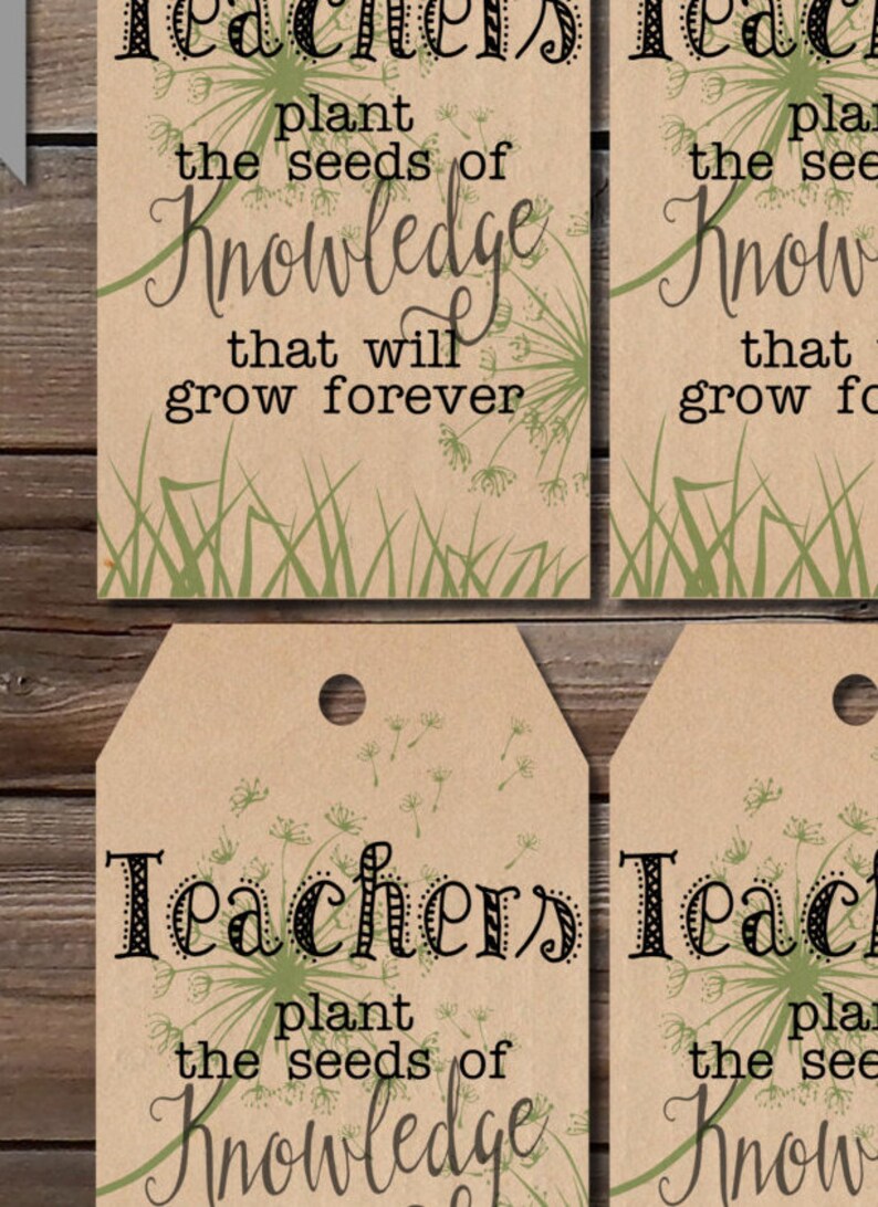 Gift Tags Teacher Plant the Seed Plant Tag Teacher Gift Etsy