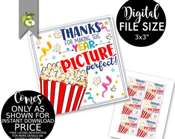 Cinema ticket Teacher printable gift tag, end of school year appreciation pdf, picture perfect year, movie pass, popcorn, instant download
