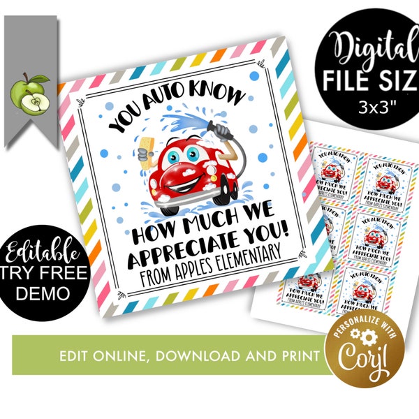 Editable Car Wash gift tag Printable, car wash tags, idea for car kit, auto cleaning kit, sponge,  clean & wax template, printable