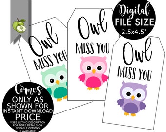 owl miss you friend owl gift tag, leaving tag, last day of school, owl miss you this summer, thank you tag, Teacher gift Tag, Printable