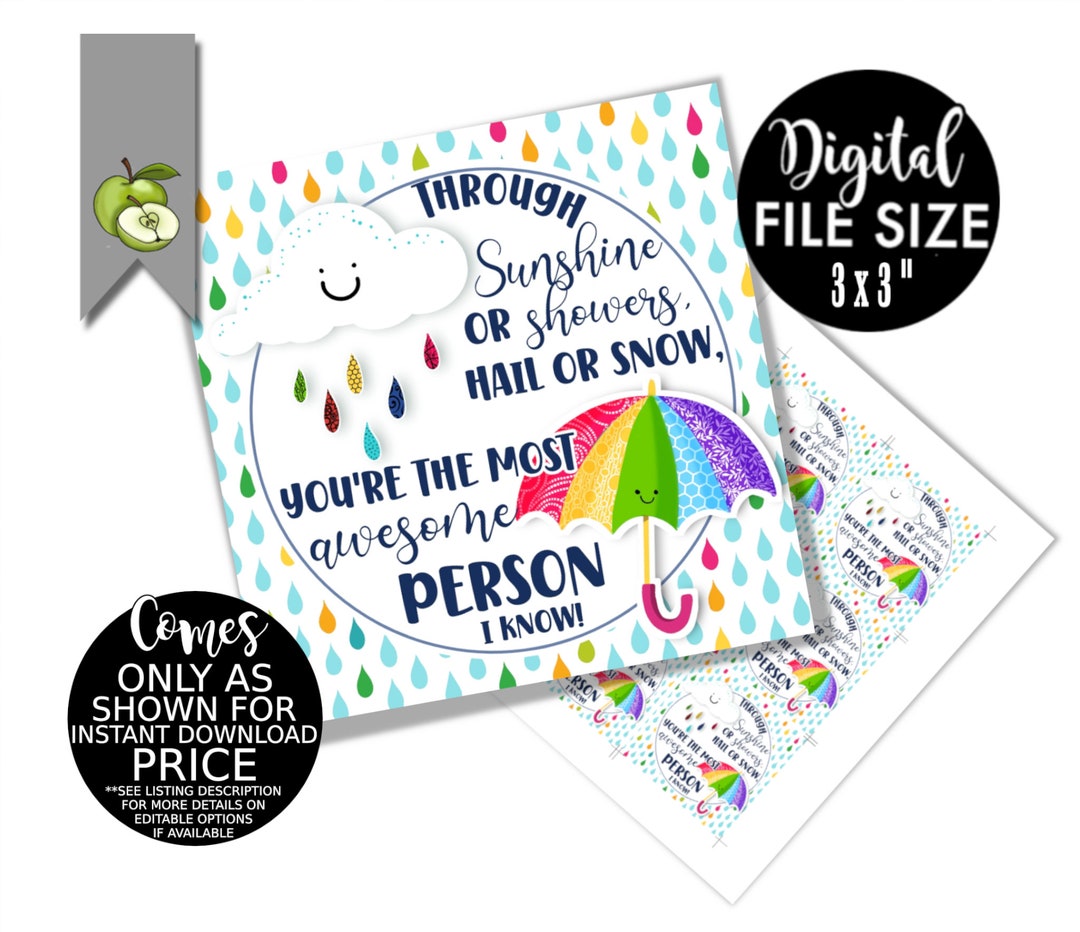 Umbrella Teacher Gift Tag, Gratitude Teacher Appreciation, Sunshine or