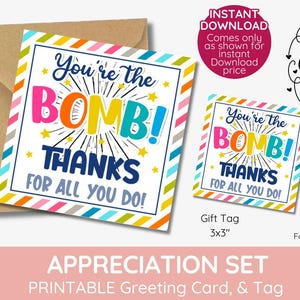 You&#39;re the bomb rainbow bath bomb gift tag, volunteer Teacher Appreciation, class friends party favor, thank you Printable, classmate summer