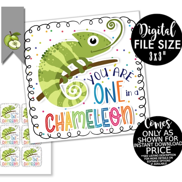 You are one chameleon! gift tags, your the best, chameleon pun fun, you're one in a million pun, Thank you, Printable DOWNLOAD