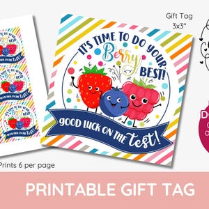 Es ist Zeit für deinen besten Testtag mit Beeren, Geschenkanhänger für das Klassenzimmer, Obstkorb Snack, Erdbeeren Himbeeren, SATS Quiz