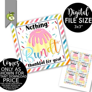 nothing Bundt thankful for you gift tag, teacher, staff Cake Appreciation Gift Tags, Volunteer, Printable Bakery Labels, instant DOWNLOAD