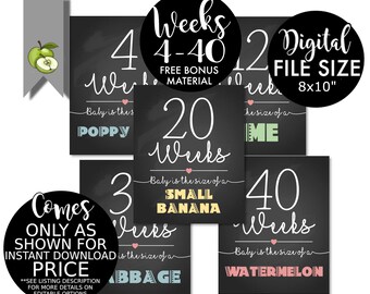 Pregnancy bump photo prop weeks 4 - 40, gender reveal, Pregnancy Art, WEEKLY! Instant Download, 8 x 10