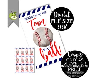 Baseball gift tags, sport gift tag, tee ball, softball, baseball, end of season party, last game, team gift,  INSTANT DOWNLOAD. ST1, BB1