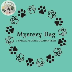 Crochet Mystery Plushie, Small Mystery Plushie, Mystery Stuffed Animal, Crochet Stuffed Animal