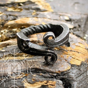 Forged Iron Ring, Viking Ring, Huginn Muninn Ravens, Jormungandr Ring, Serpent Ring, Infinity Symbol, Handmade Nordic Ring