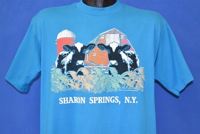 90s Sharon Springs New York t-shirt Large
