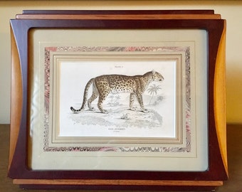 1834 William Jardine Naturalists Leopard Print Plate 8 with Custom French Matte