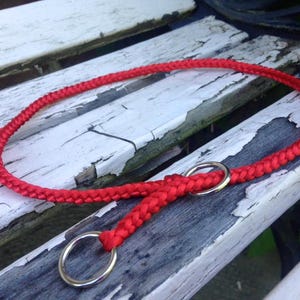 May include: A red braided dog collar with two silver metal D-rings.
