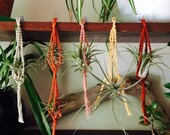 Double Hanging Garden Macrame Air Plant Hanger