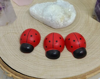 Lady Bug Wooden Magnets, Ladybug Magnet,Wood Magnet Set,Ladybug Magnet Set, Lady Bug Kitchen Decor, Ladybug Fridge Magnet, Fridge Magnet Set