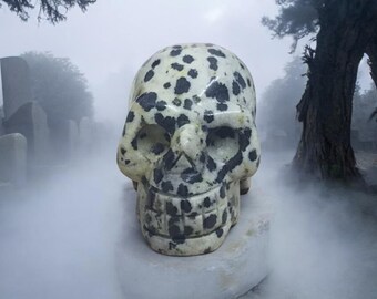 thumbnail image 2 of Natural Flame Stone Crystal Skull - Hand Carved Reiki Healing Skull (Black/Red) 2 of 5