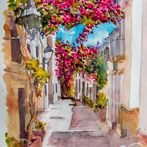 Kalkan Bougainvillea street, Turkey