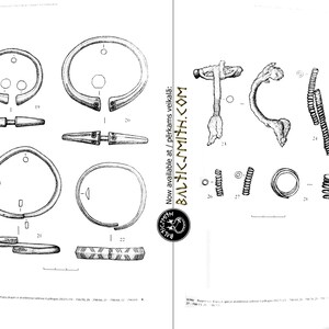 Lietuvos archeologijos Šaltiniai Sankt Peterburge Lithuanian Archaeological Sources in St.Petersburg image 3