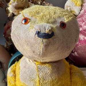 May include: A vintage teddy bear with a tan head and yellow fur. The bear has orange eyes and a black stitched nose. The bear's fur is worn, giving it a classic, antique appearance. The bear's head is made of a different material than the body.