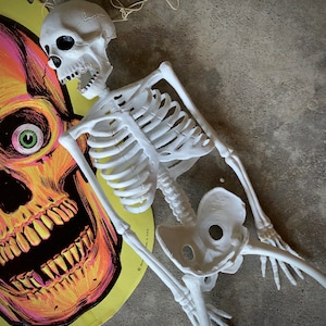 Vintage Halloween skeleton creepy vinyl plastic skull bones hanging decoration 22.5 inch