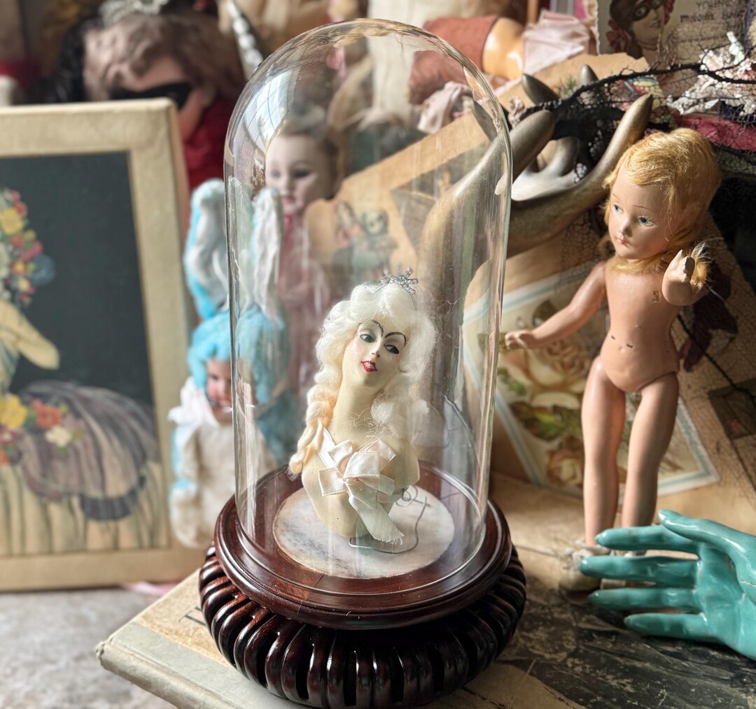 Vintage Glass Display Dome Wood Carved Base Curiosity Cloche - Etsy
