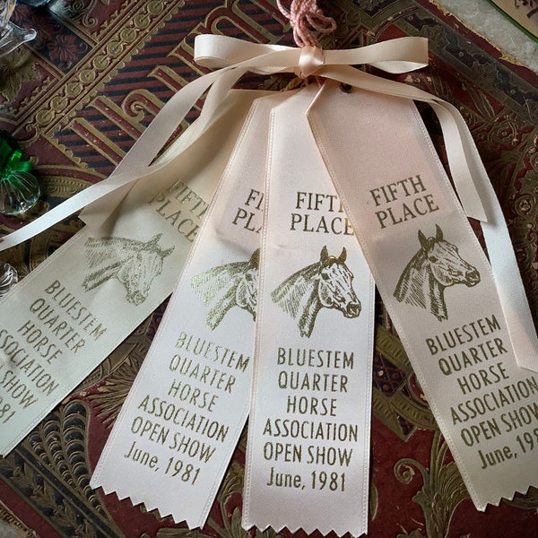 Horse Show Ribbons Etsy
