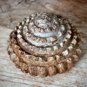 May include: A silver and brown metal decorative object with a circular shape and a textured surface. The object has a series of concentric rings with a raised center.