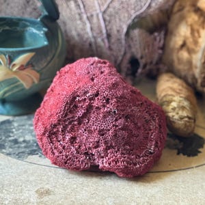 May include: A vibrant red coral specimen with a porous texture, displayed on a vintage paper surface. The coral is the focal point, with a teal ceramic bowl and a tan object in the background. The coral's color contrasts with the other objects.
