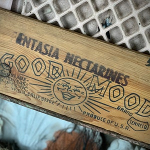 Vintage salvaged Good Mood wood crate scrap part Fantasia Nectarines wooden sunshine face advertising 13.5 x 5.75 inch