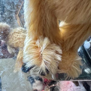 May include: Close-up of a plush, golden-colored teddy bear. The bear's fur is soft and fluffy, with visible details of its paws and legs. The bear's paws have black pads and are positioned on a reflective surface.