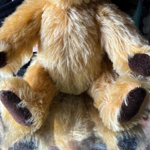 May include: A plush, golden-brown teddy bear with dark brown paw pads. The bear has a soft, fluffy texture and is sitting with its arms and legs extended. The fur is a mix of light and medium brown tones.
