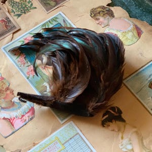 Vintage millinery feathers curled brown iridescent hat making supply flapper craft trim