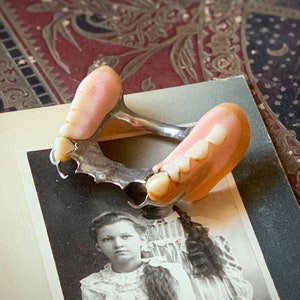 Vintage partial denture false teeth vintage found used worn upper creepy fake teeth oddity curiosity display prop