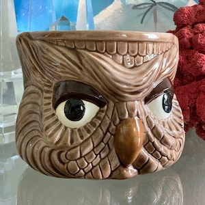 May include: A brown ceramic owl planter with a textured surface and large, white eyes. The owl has a brown beak and a furrowed brow, giving it a grumpy expression.