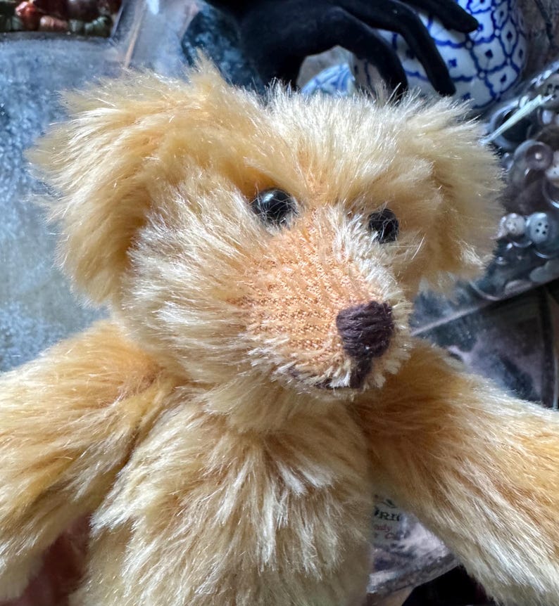 May include: Close-up of a handmade teddy bear with light brown fur. The bear has a knitted muzzle and a dark brown nose. Its eyes are black and shiny. The bear's fur is soft and fluffy, giving it a cuddly appearance.
