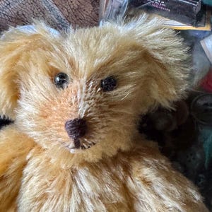 May include: A close-up of a vintage teddy bear with golden fur. The bear has dark eyes, a brown nose, and a stitched mouth. The fur is soft and fluffy, with visible stitching details. The bear's ears are floppy, and the overall appearance is nostalgic.
