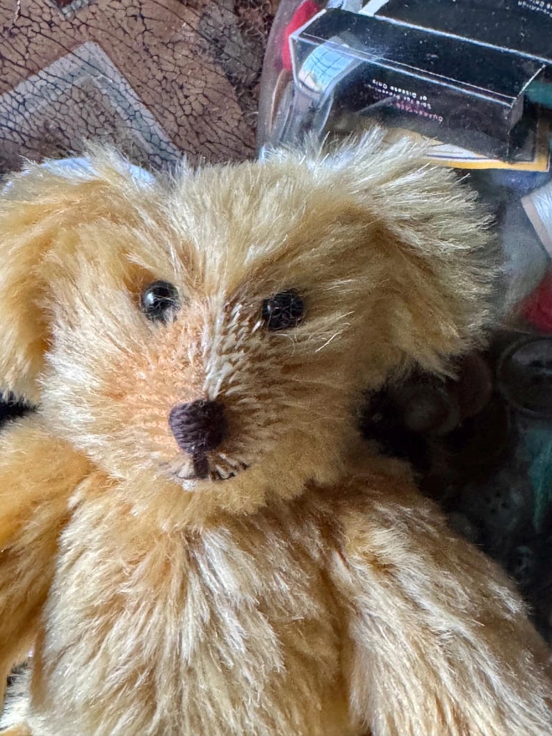 May include: A close-up of a vintage teddy bear with golden fur. The bear has dark eyes, a brown nose, and a stitched mouth. The fur is soft and fluffy, with visible stitching details. The bear's ears are floppy, and the overall appearance is nostalgic.