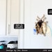 BUG INSECT Wall Decor WALL Decor Frame Bug Home Decor Collection Gold ...