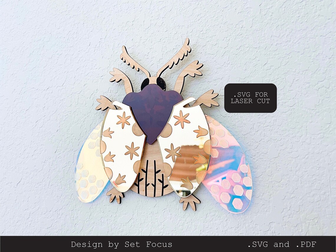 BUG INSECT Wall Decor WALL Decor Frame Bug Home Decor | Etsy