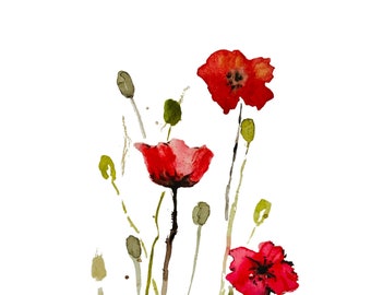 A set of 2 Watercolor prints of Poppies from Israel