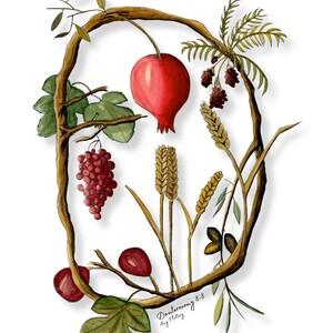May include: A watercolor painting of a wreath made of branches with various fruits and grains. The wreath includes a pomegranate, grapes, wheat, and figs. The text "Deuteronomy 8:8" is written in cursive at the bottom of the wreath.