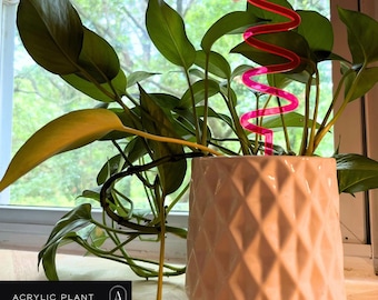Acrylic Plant Stake: Squiggle Leaf Design - Garden Decor