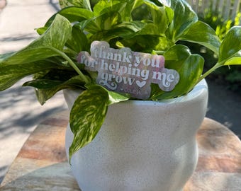 Acrylic Plant & Garden Stake Personalized Gift: Custom Name