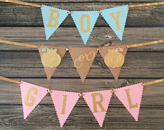 Pumpkin Gender Reveal Banner - Pink/Gold/Blue - Gender Reveal Party - Gender Reveal Baby Shower - Fall Baby Shower - Boy or Girl Banner