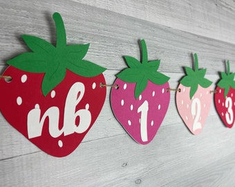STRAWBERRY First Year Banner - Strawberry Monthly Photo Clips - First Year Milestone Banner - Berry 1st Birthday - Sweet One - 1st Birthday