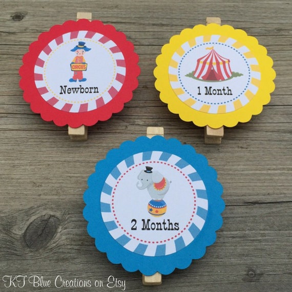 CIRCUS First Year Photo Clips - First Year Banner - Circus Birthday - Carnival Birthday - First Year Banner - 1st Birthday Banner - Circus Il_570xn