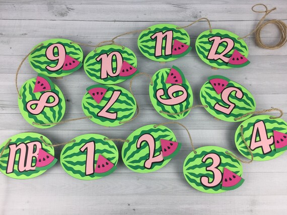 WATERMELON First Year Banner - 1st Year Photo Banner - Photo Clip Banner - One In A Melon - 1st Birthday Banner - Watermelon 1st Birthday Il_570xn