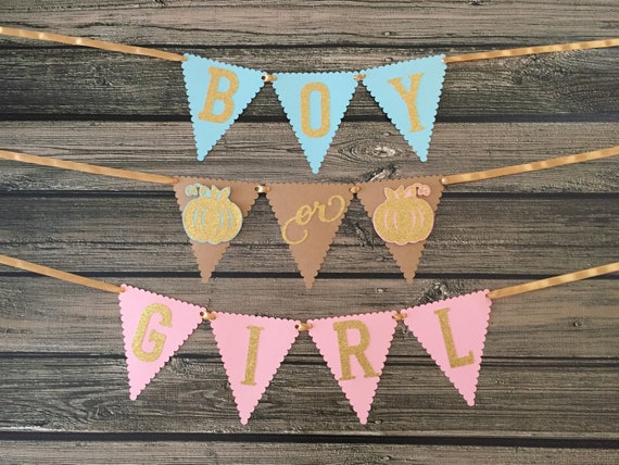 Pumpkin Gender Reveal Banner - Pink/Gold/Blue - Gender Reveal Party - Gender Reveal Baby Shower - Fall Baby Shower - Boy or Girl Banner Il_570xn
